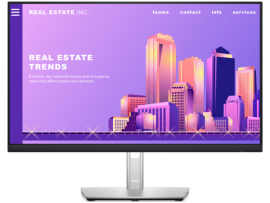 Monitor, 61 cm (24''), DELL Professional P2422H... ugodna cena / kvaliteta A--matrika IPS-LED, 1920 x 1080, 1000:1, 250 cd/m2, 6 ms, DisplayPort, HDMI, VGA #2- Rabljeno