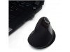 Miš Ewent brezžična optična Ergonomic Vertical 1600dpi črna (EW3158)