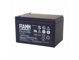 UPS baterija Fiamm 12V 12Ah (6/Z8009)