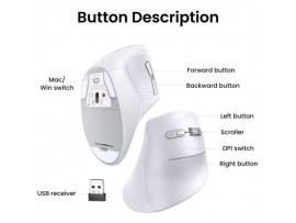 Miš brezžična + Bluetooth ergonomska Ugreen vertikalna 4000DPI bela (45759)