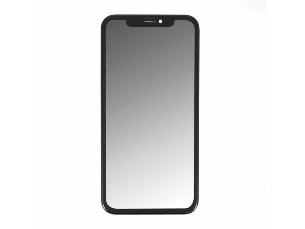 Steklo in LCD zaslon za Apple iPhone XS