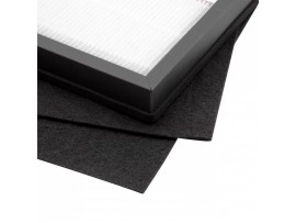 HEPA filter za Rowenta Intense Pure Air PU2120