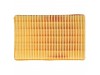 Ploščati filter za Kärcher WD 4 / WD 5 / WD 6, 2.863-005.0